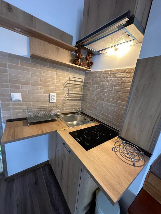Casa Rares Busteni Ngoại thất bức ảnh